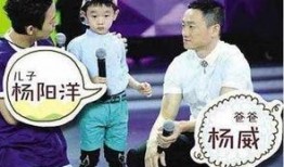 杨威爆料天花板视频播放,天花板视频背后的惊人真相